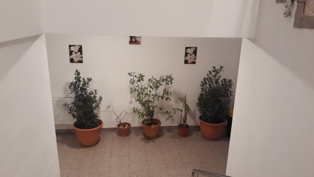 Casa Dobrescu Centura De Nord Otel Craiova Dış mekan fotoğraf